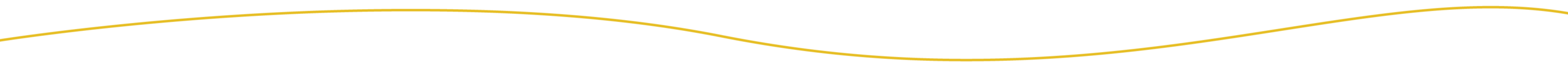Yellow Divider Line 22
