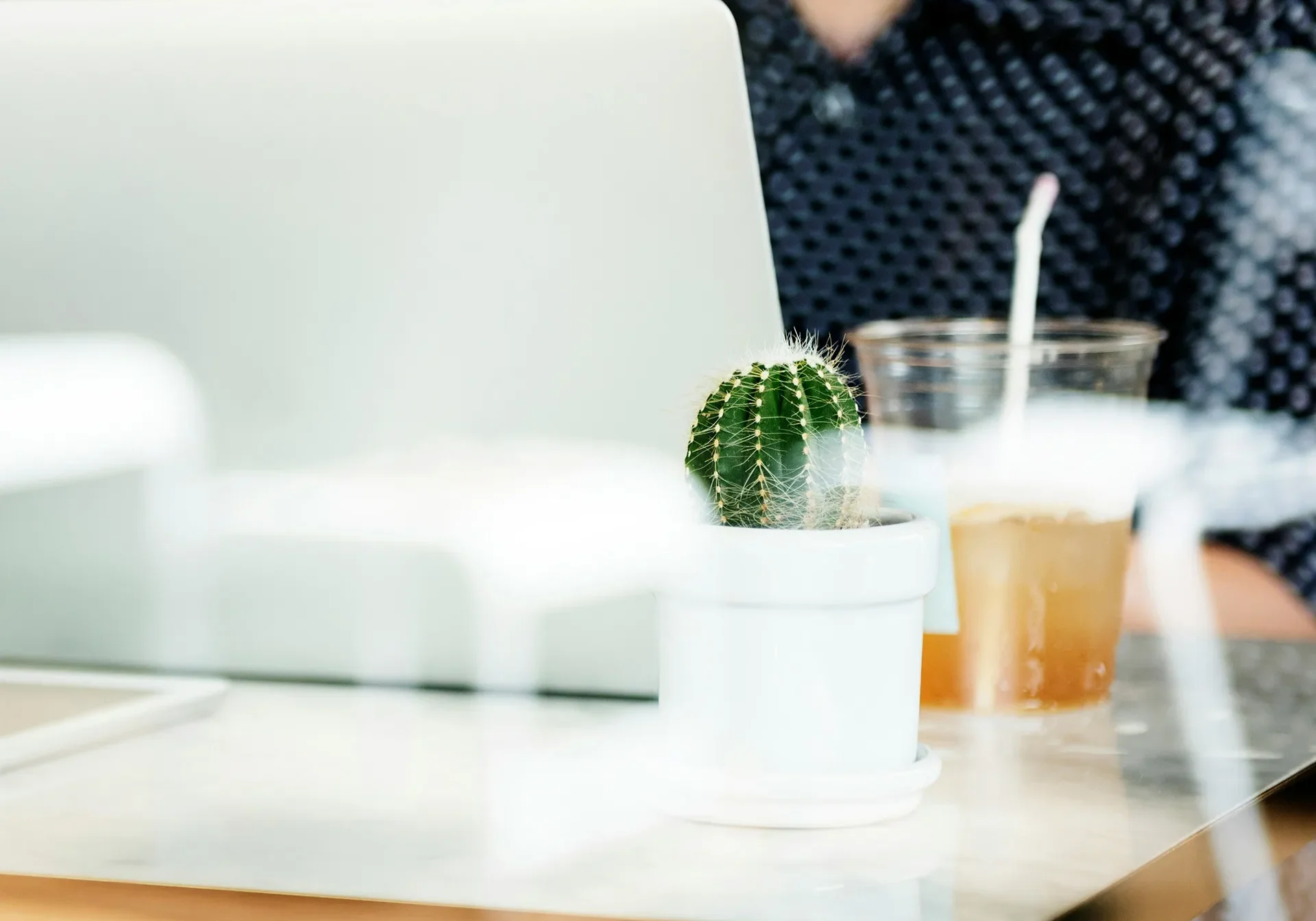 web - curated-lifestyle-oA3-WUr9s7o-unsplash